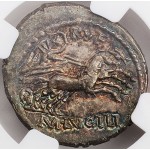 Amazing NGC MS Roman Republic Denarius M. Lucillius Rufus B.C.Roma Head
